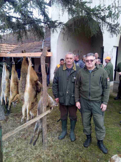 Novi Milanovac 2017.