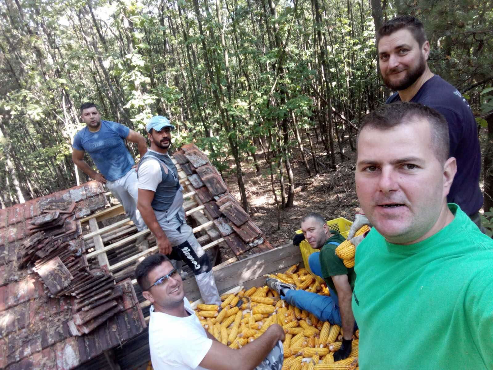 Hranilište u Goločelu