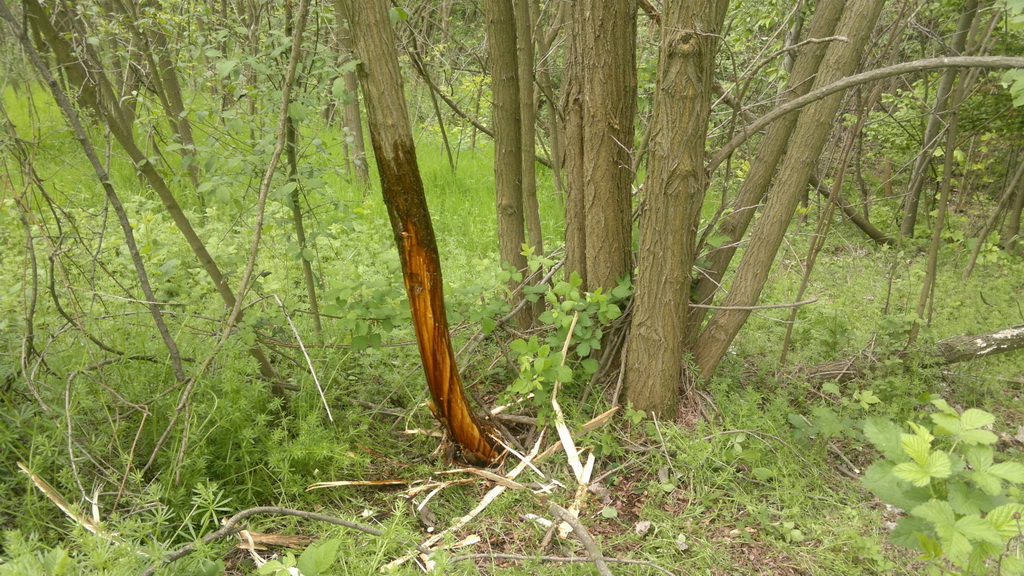 Sekcija Parlog 27.04.2014.godine