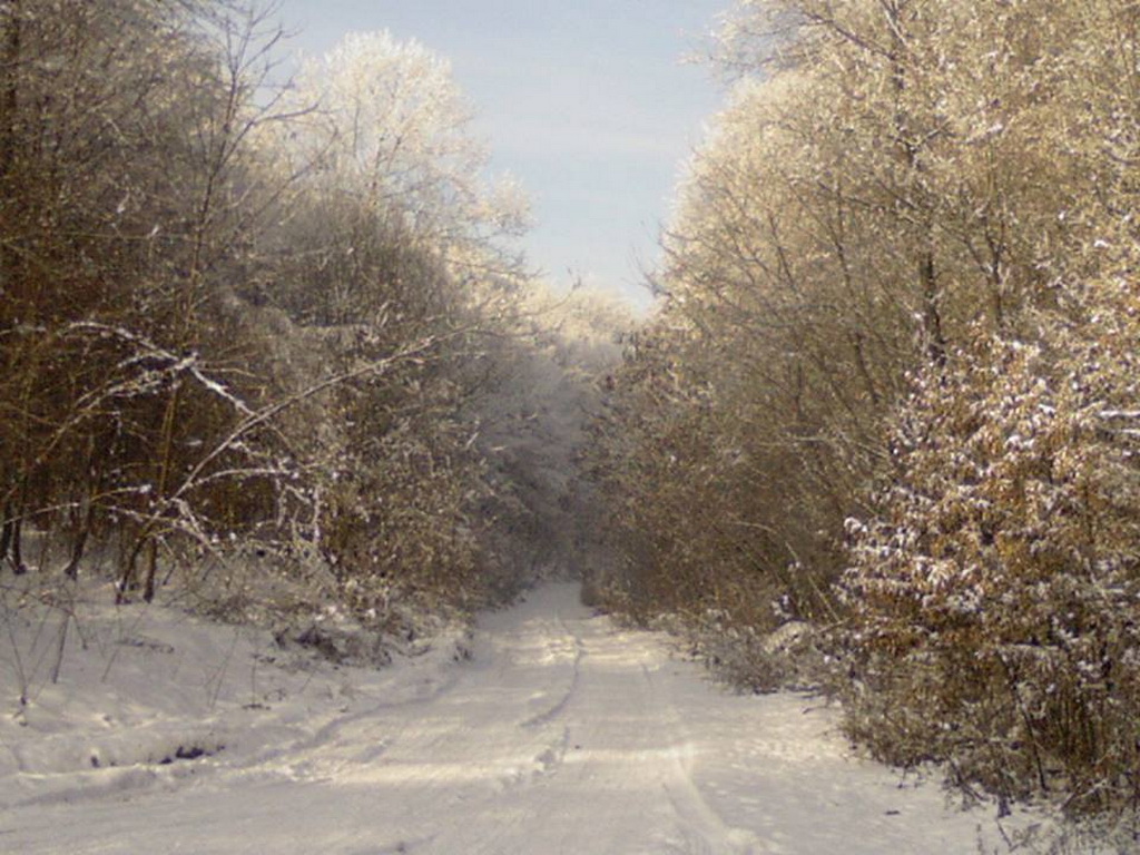 Lovačka sekcija "Parlog"