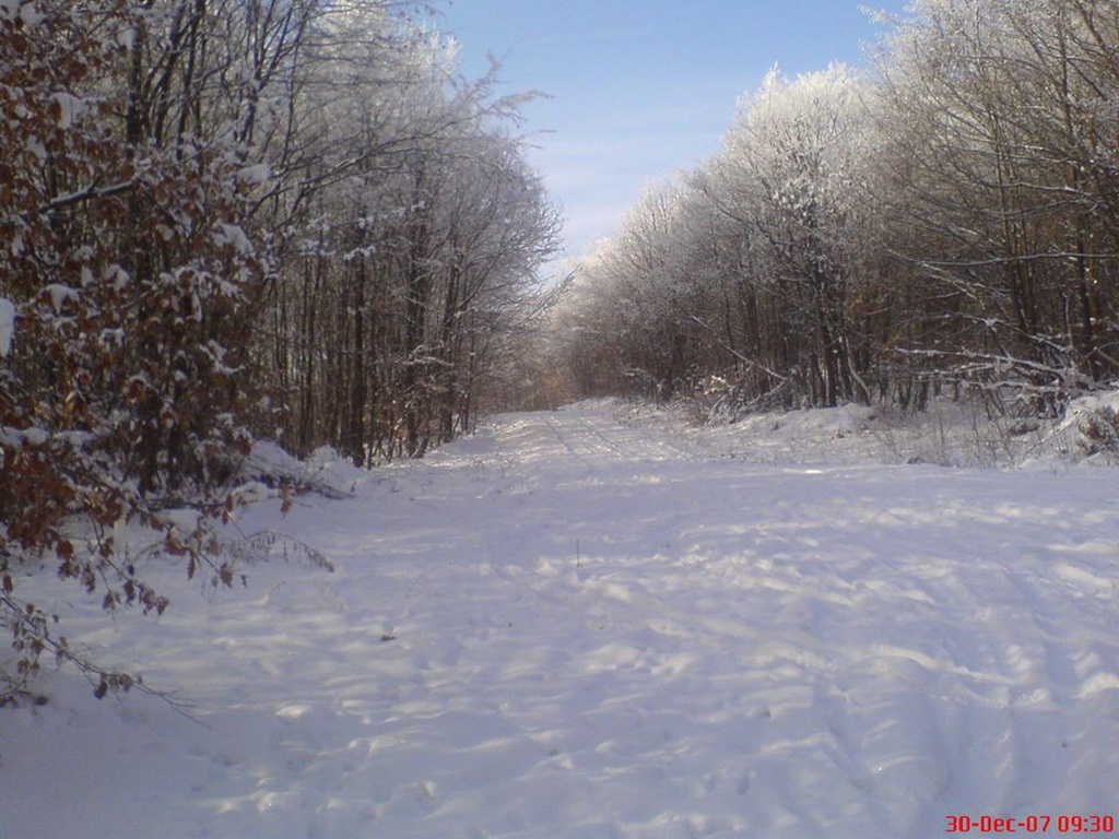 Lovačka sekcija "Parlog"