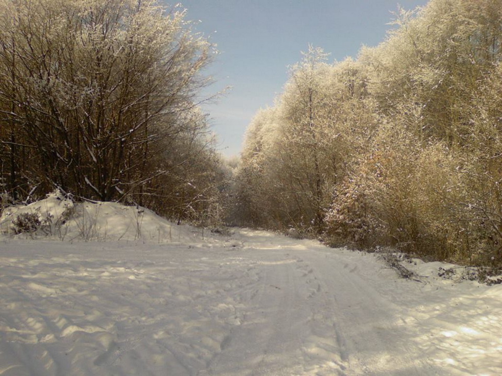 Lovačka sekcija "Parlog"