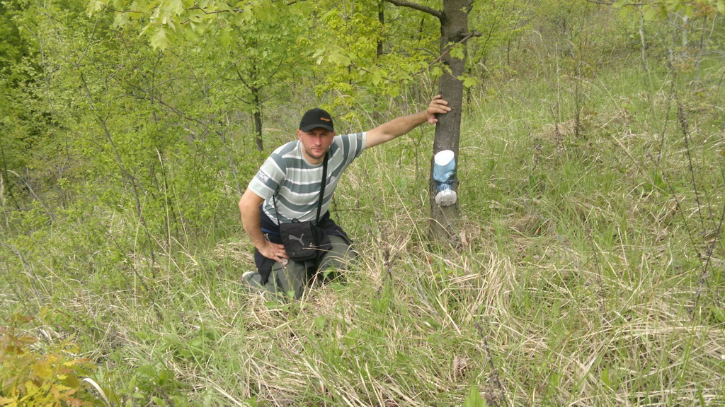 Postavljanje solišta