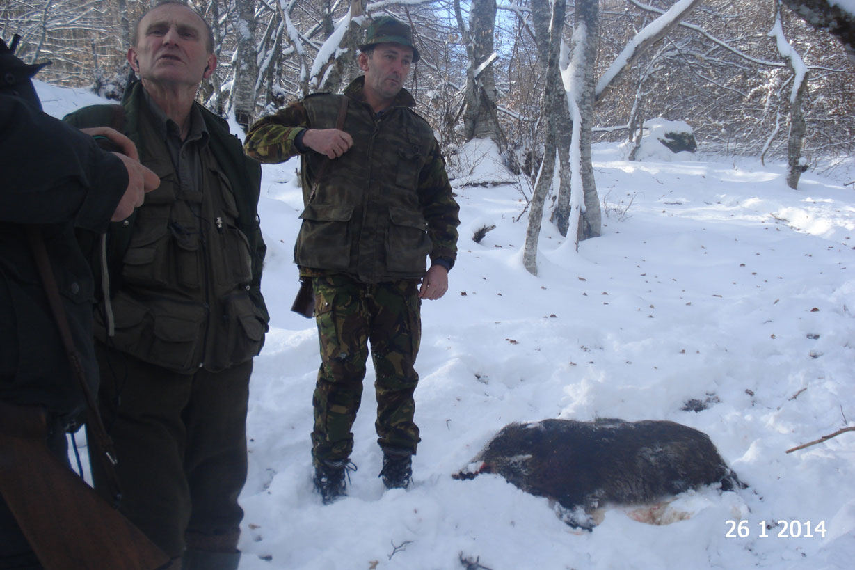 Lov u Foči 18.01.2014.godine