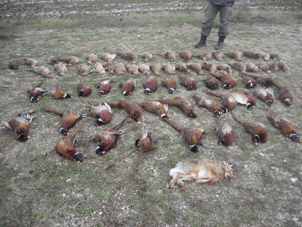 Pobratimski lov 07.12.2013. - Kragujevac	