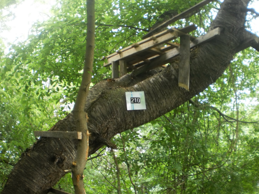 Lovno-tehnički objekti Sekcije Sobovica       