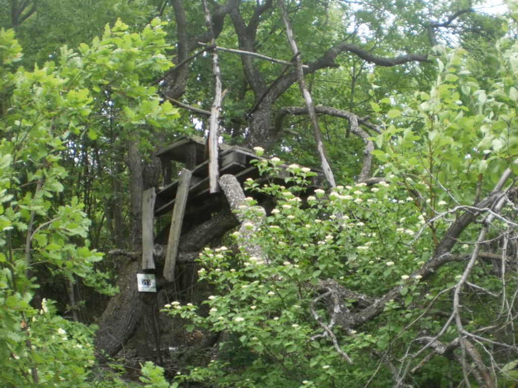 Lovno-tehnički objekti Sekcije Sobovica              