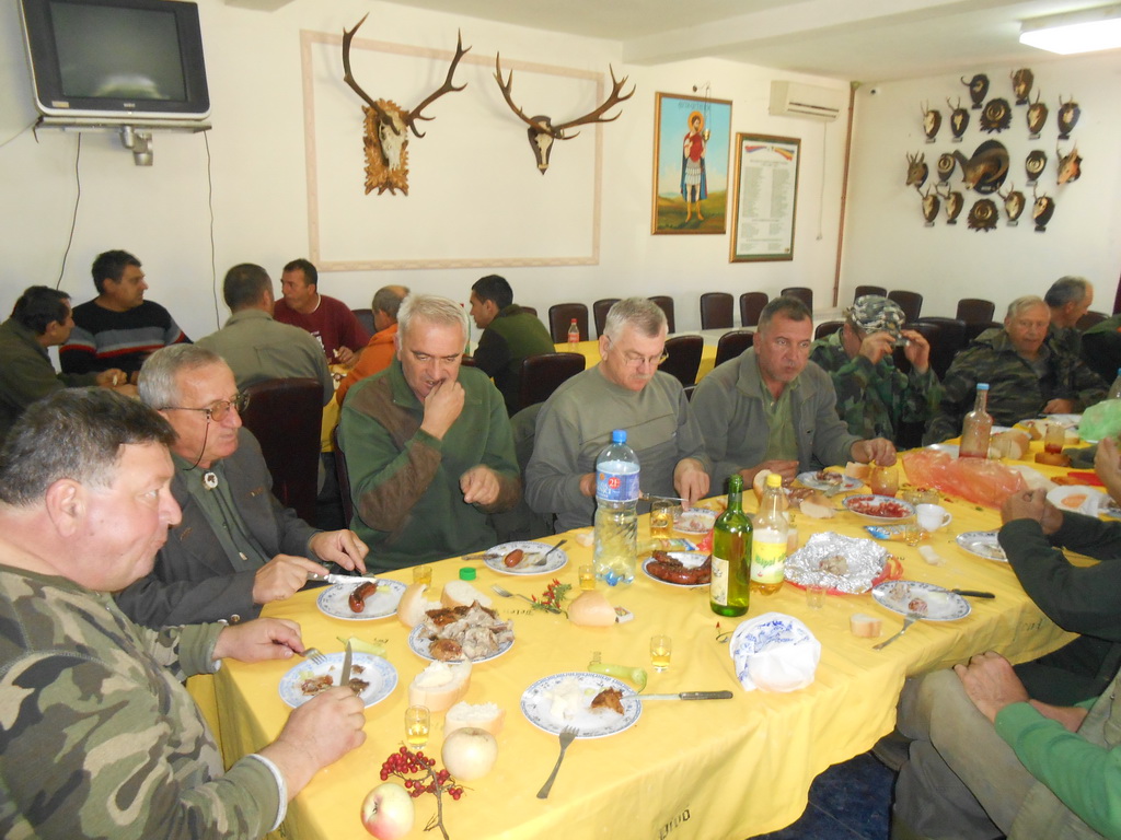 Rumuni u Lužnicama 2015.godine