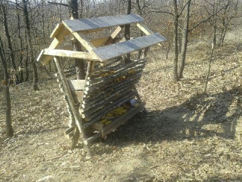 Izrada hranilišta za divlju svinju 20.03.2016.