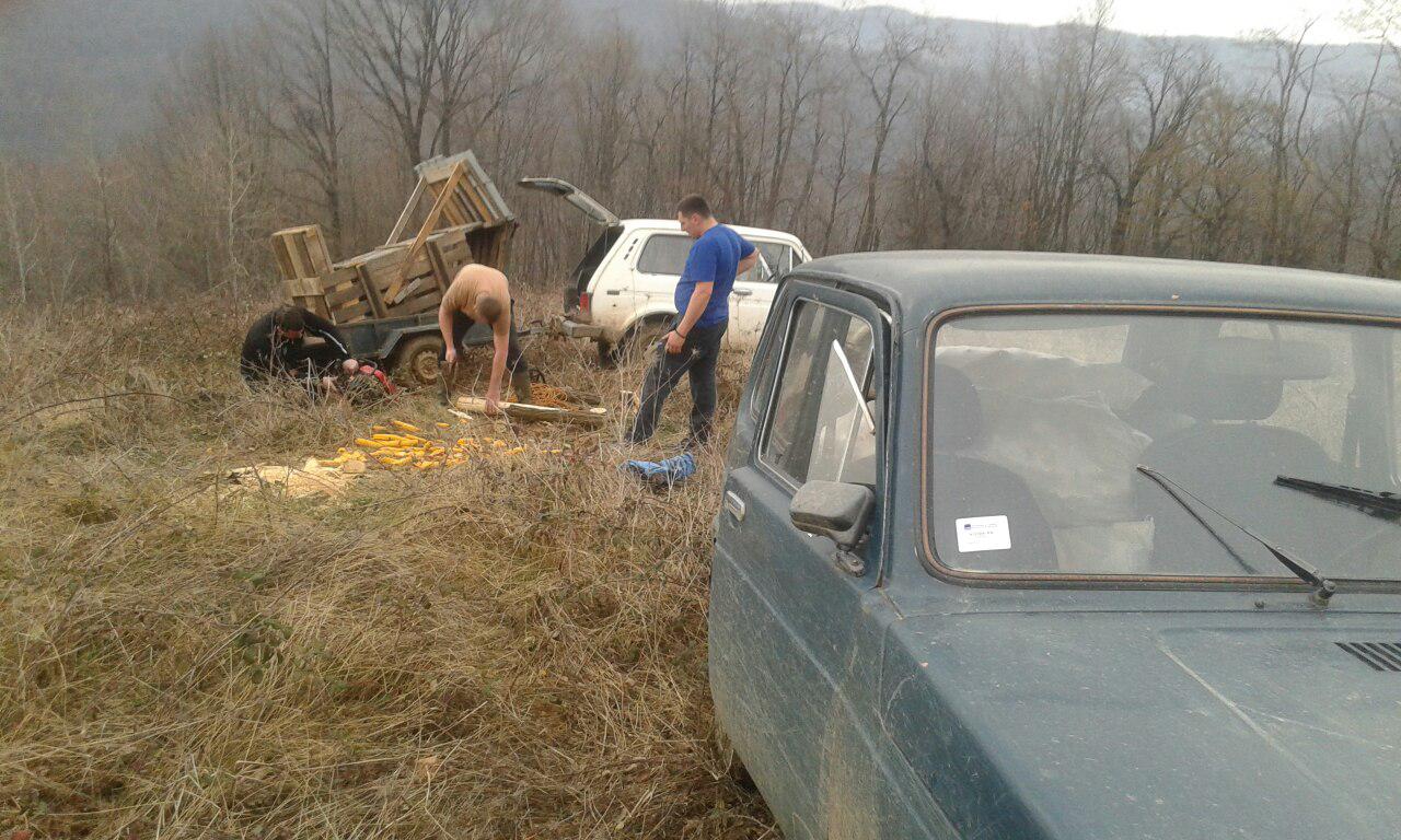 Postavljanje hranilišta 23.02.2016.godine