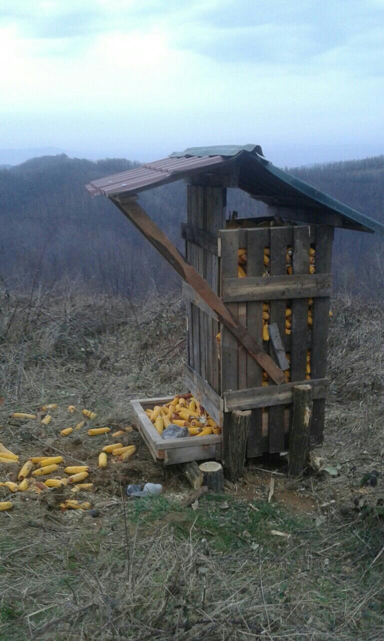 Postavljanje hranilišta 23.02.2016.godine